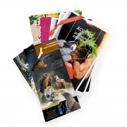 flyers